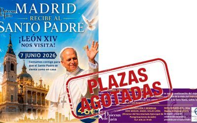 Peregrinación diocesana a Madrid para recibir al Santo Padre León XIV [PLAZAS AGOTADAS]